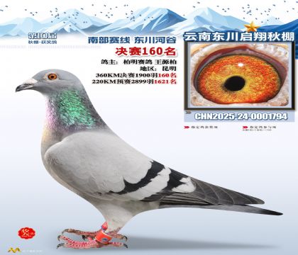 东川启翔决赛160名