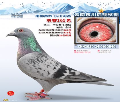 东川启翔决赛161名