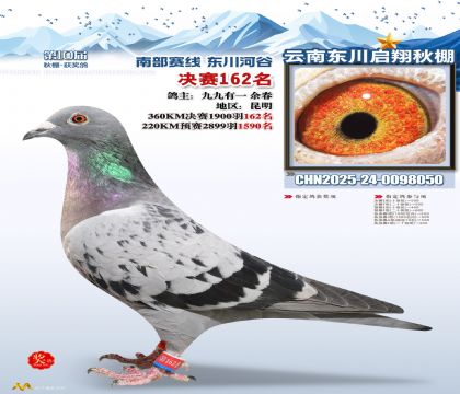 东川启翔决赛162名