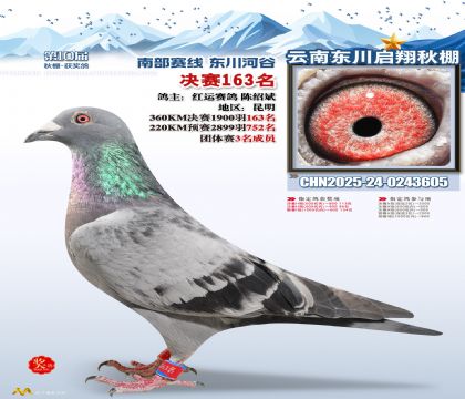 东川启翔决赛163名