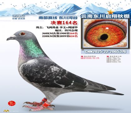 东川启翔决赛164名