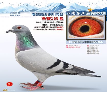 东川启翔决赛165名