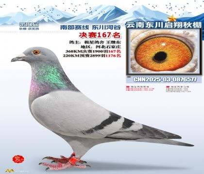 东川启翔决赛167名