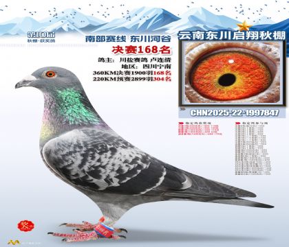 东川启翔决赛168名