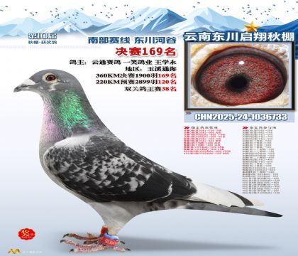 东川启翔决赛169名