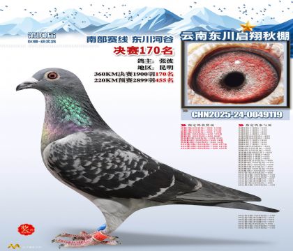 东川启翔决赛170名