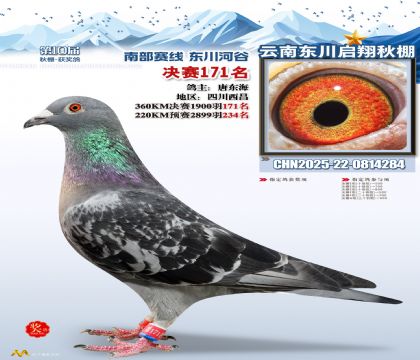 东川启翔决赛171名