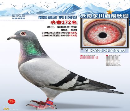 东川启翔决赛172名