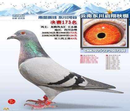 东川启翔决赛173名