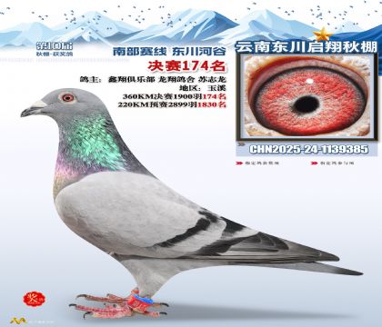 东川启翔决赛174名