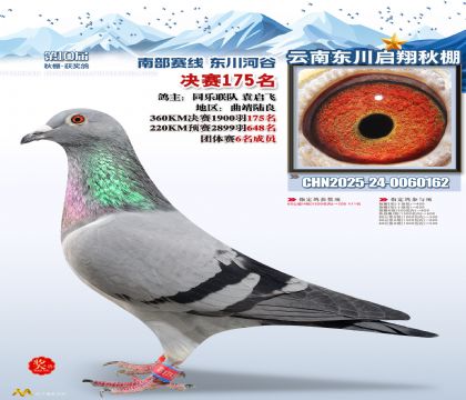 东川启翔决赛175名