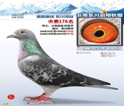 东川启翔决赛176名