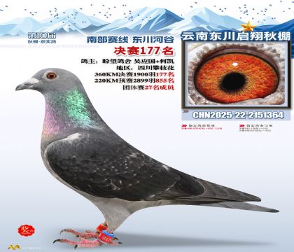 东川启翔决赛177名