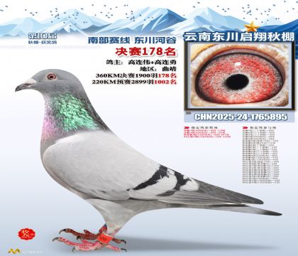 东川启翔决赛178名