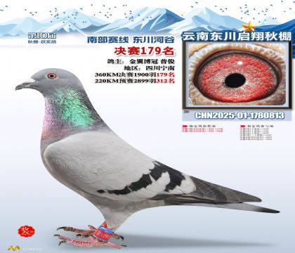 东川启翔决赛179名