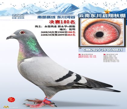 东川启翔决赛180名