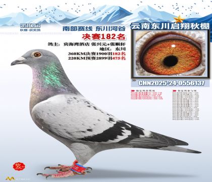 东川启翔决赛182名