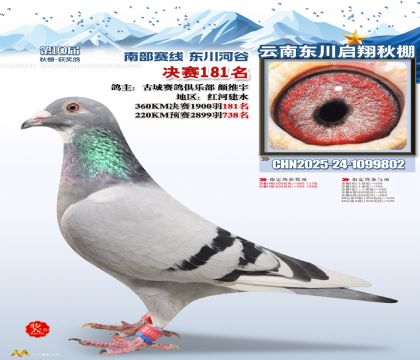 东川启翔决赛181名