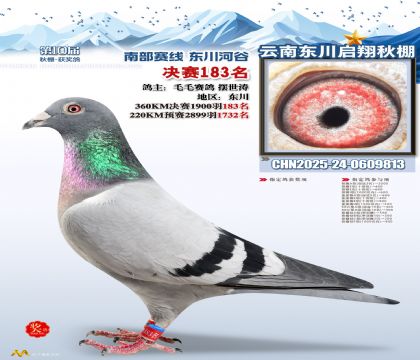 东川启翔决赛183名