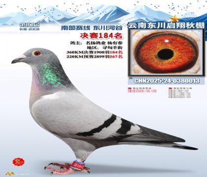 东川启翔决赛184名