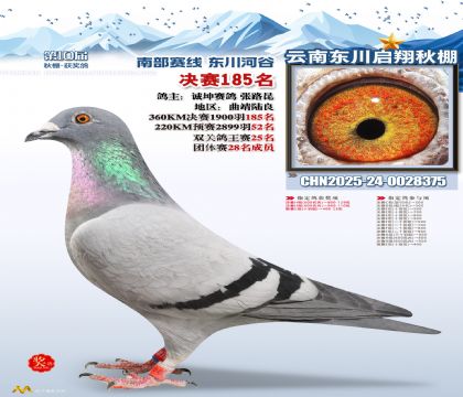 东川启翔决赛185名