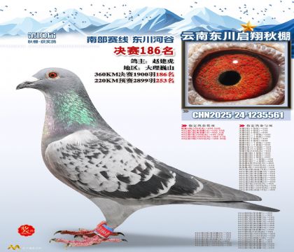 东川启翔决赛186名