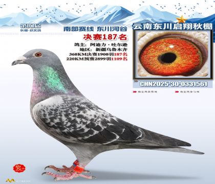 东川启翔决赛187名