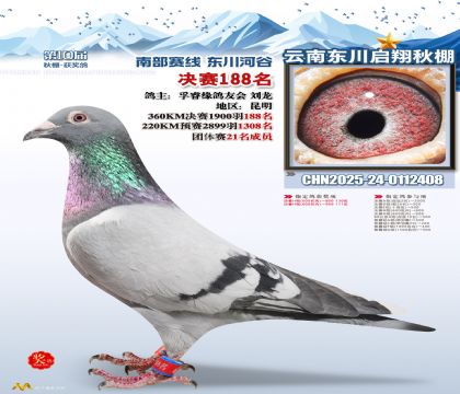 东川启翔决赛188名