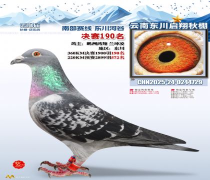 东川启翔决赛190名