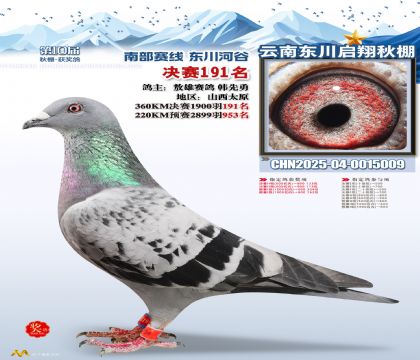 东川启翔决赛191名