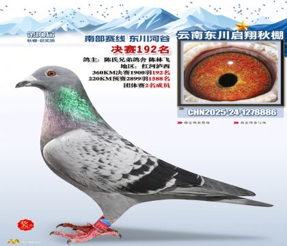 东川启翔决赛192名