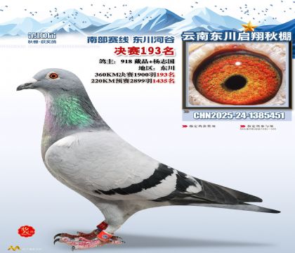 东川启翔决赛193名