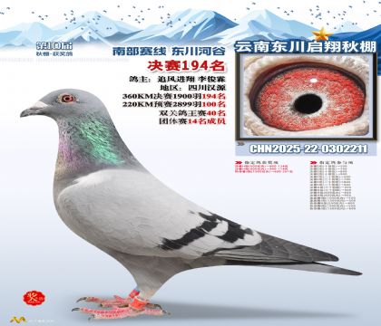 东川启翔决赛194名