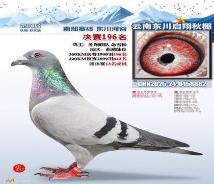 东川启翔决赛196名