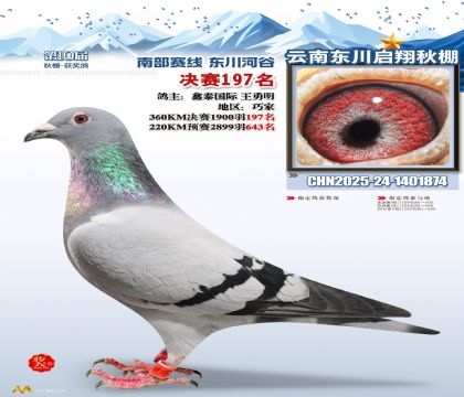 东川启翔决赛197名