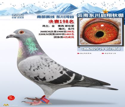 东川启翔决赛198名