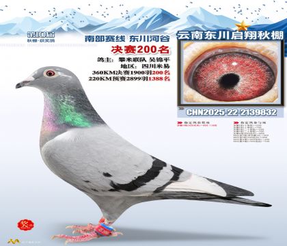 东川启翔决赛200名