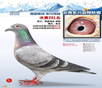 东川启翔决赛201名