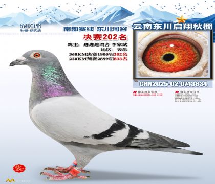 东川启翔决赛202名