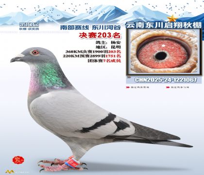 东川启翔决赛203名