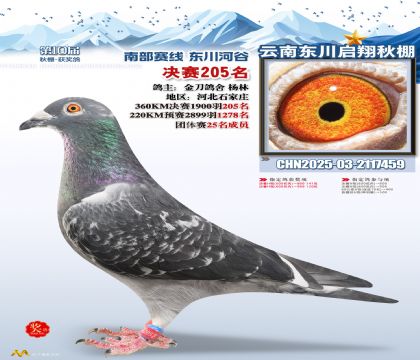 东川启翔决赛205名