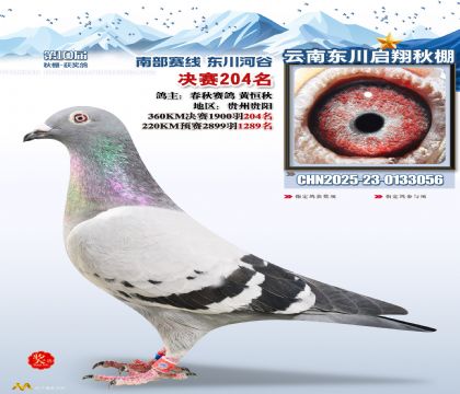 东川启翔决赛204名