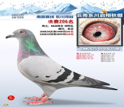 东川启翔决赛206名