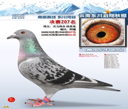 东川启翔决赛207名