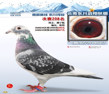 东川启翔决赛208名