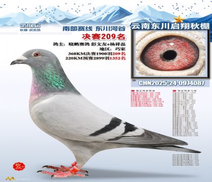 东川启翔决赛209名