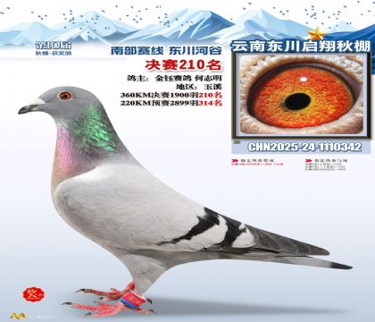 东川启翔决赛210名