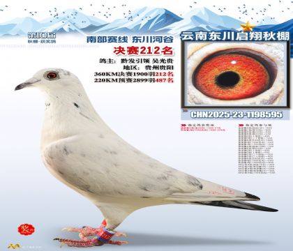 东川启翔决赛212名