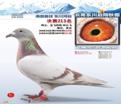 东川启翔决赛213名