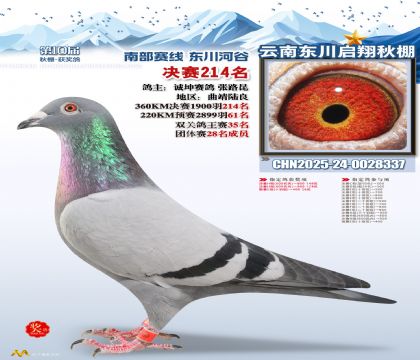 东川启翔决赛214名